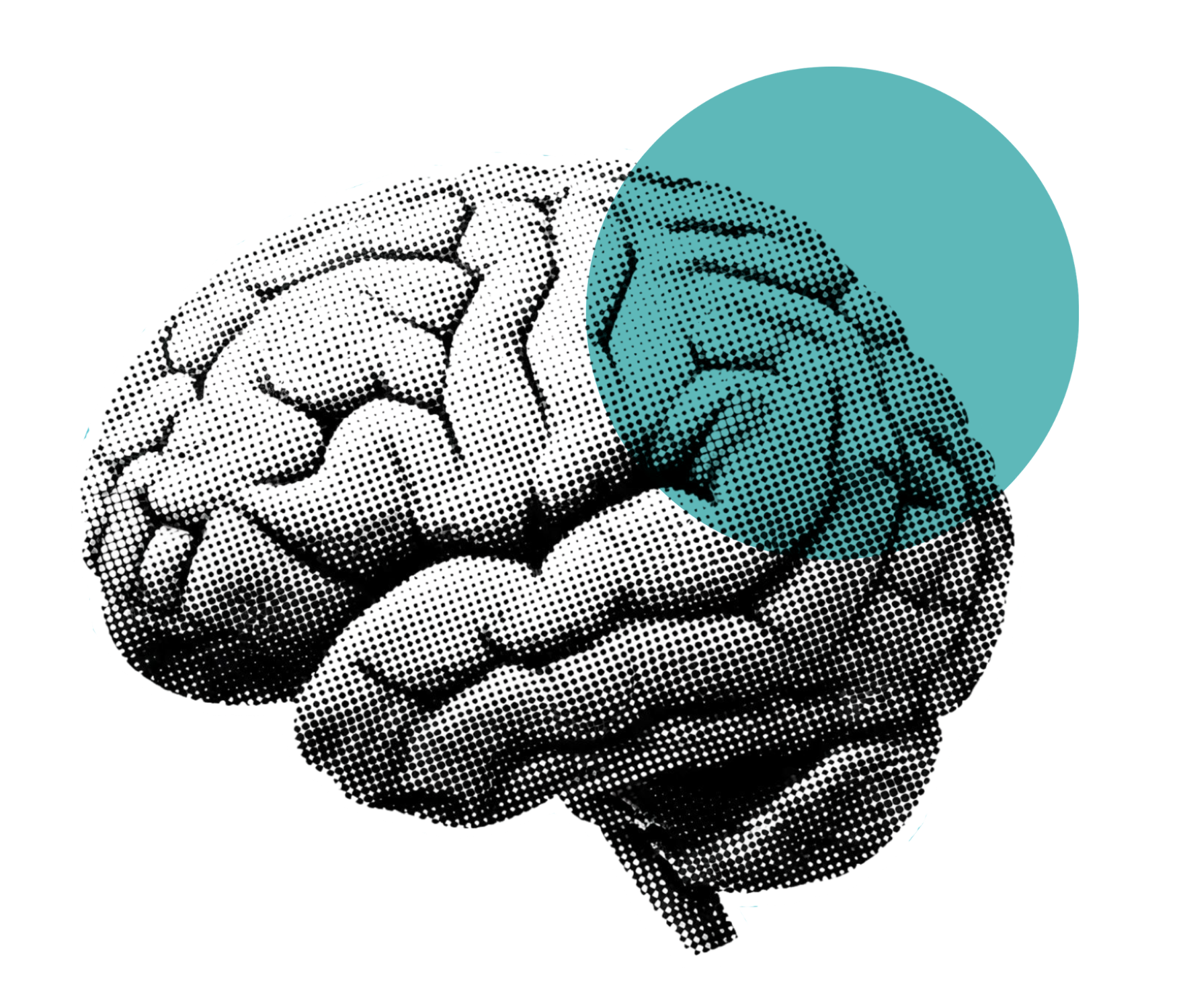 Illustration of a brain with purple accent — visual anchor for the pressure section